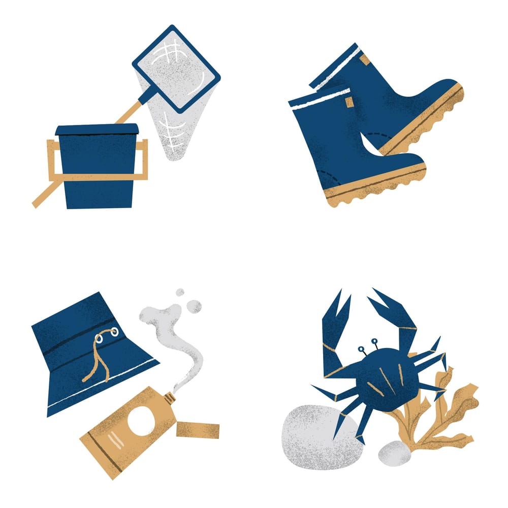 Rockpooling - image 3 - student project