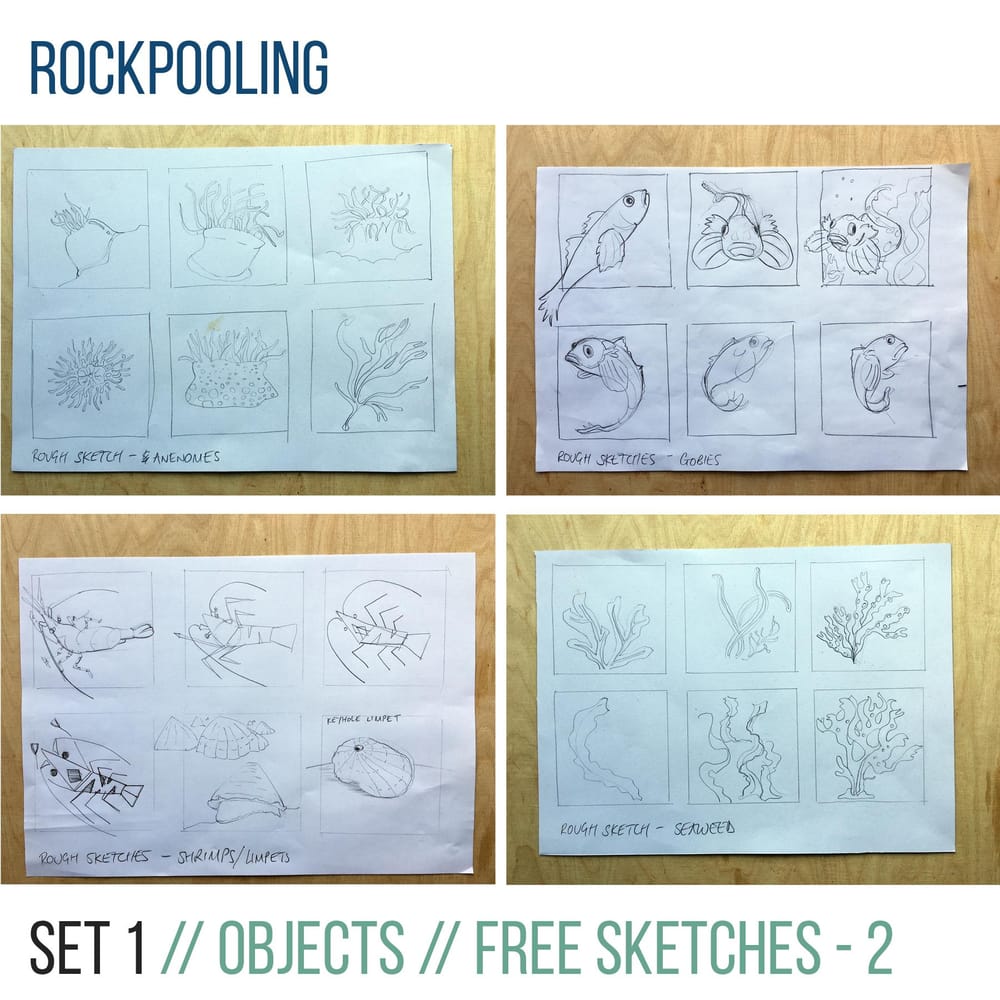 Rockpooling - image 2 - student project