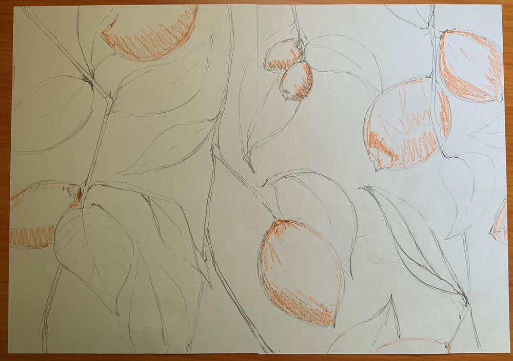Lemon Drops - image 1 - student project