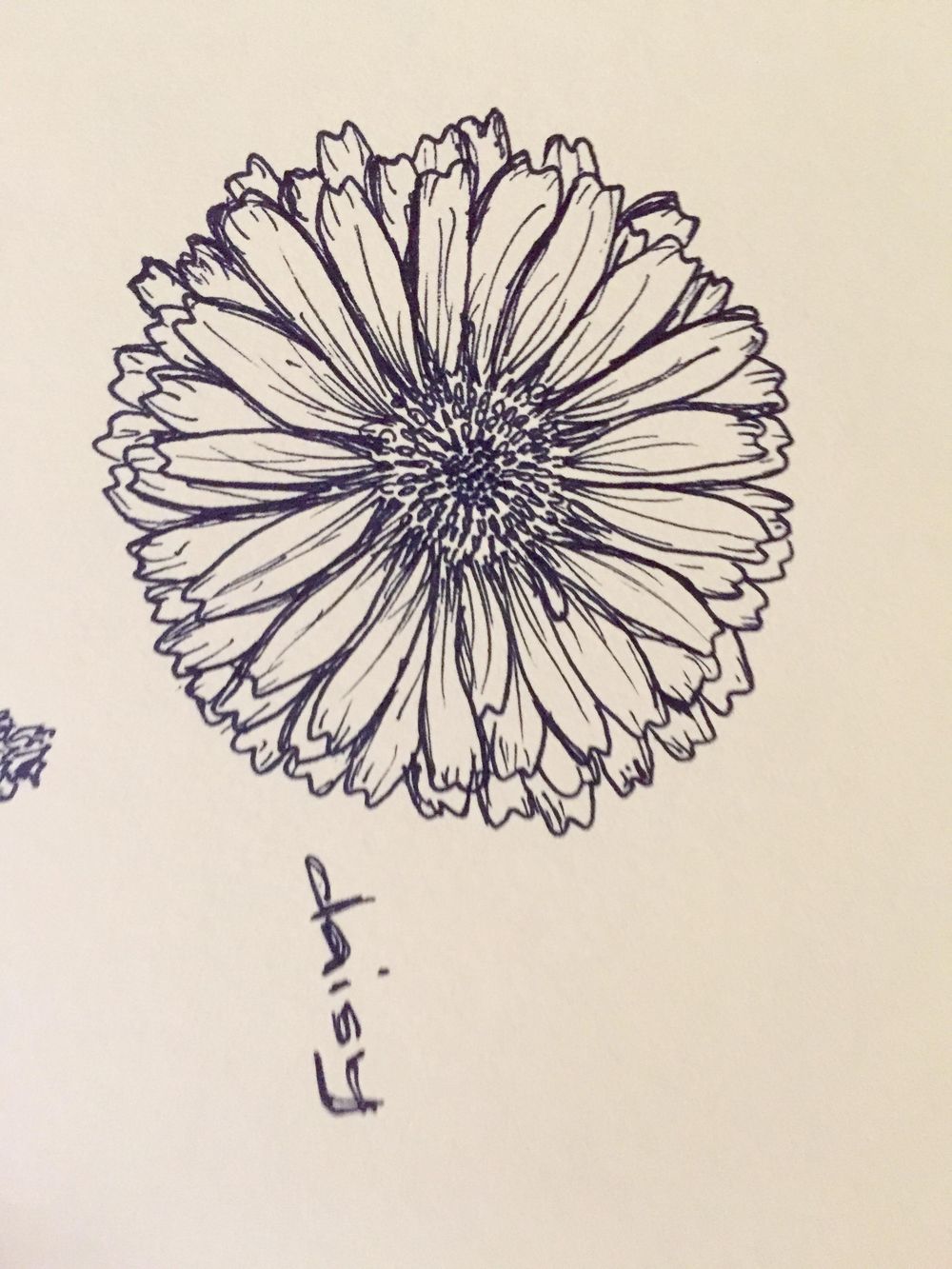 Initial Sketches + Final Project - image 7 - student project