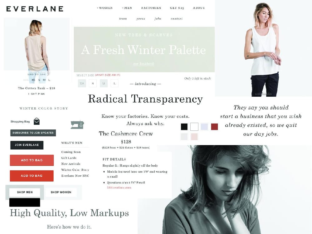 My Everlane Project - image 1 - student project