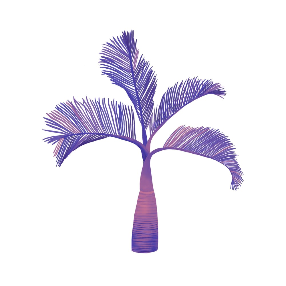 Banana palm & new recolor skills - image 3 - student project