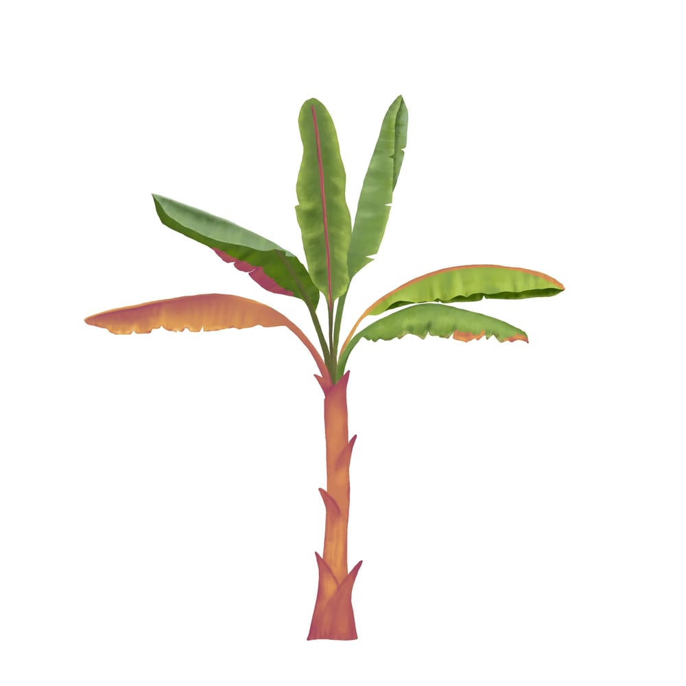 Banana palm & new recolor skills - image 1 - student project