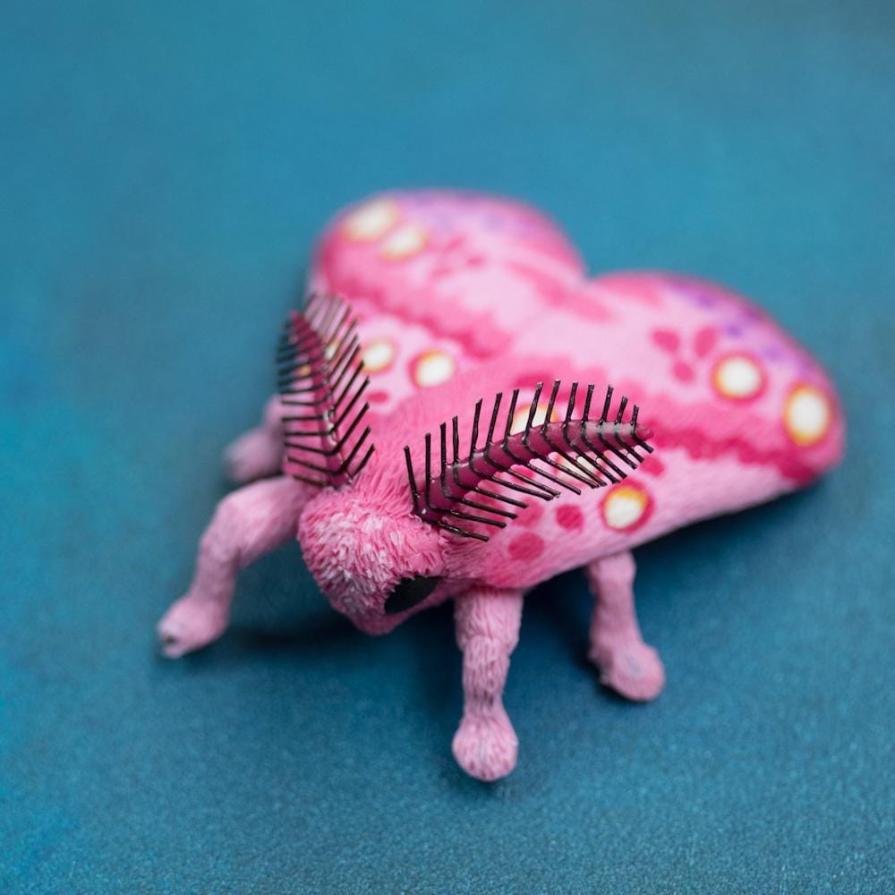 Moth Brooches - image 2 - student project