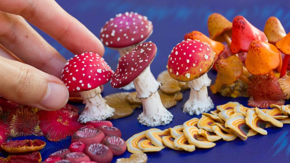 Sculpt Mushrooms from scratch with Polymer Clay - image 2 - student project