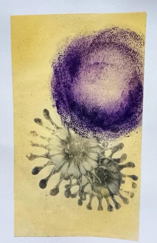 Playing with Photo Transfer - Blooms - image 3 - student project