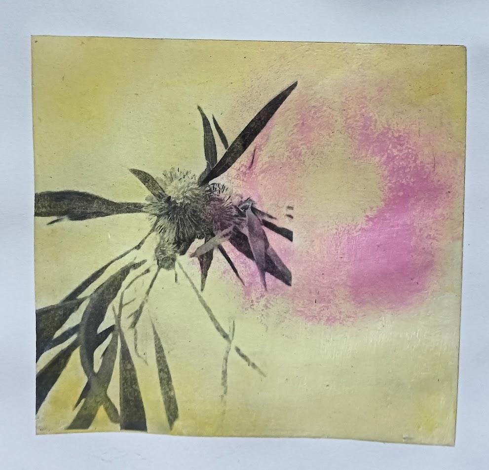 Playing with Photo Transfer - Blooms - image 4 - student project