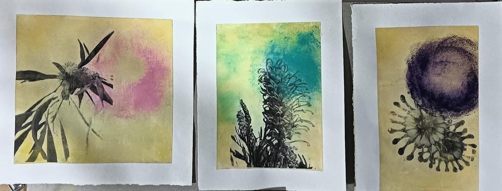 Playing with Photo Transfer - Blooms - image 1 - student project