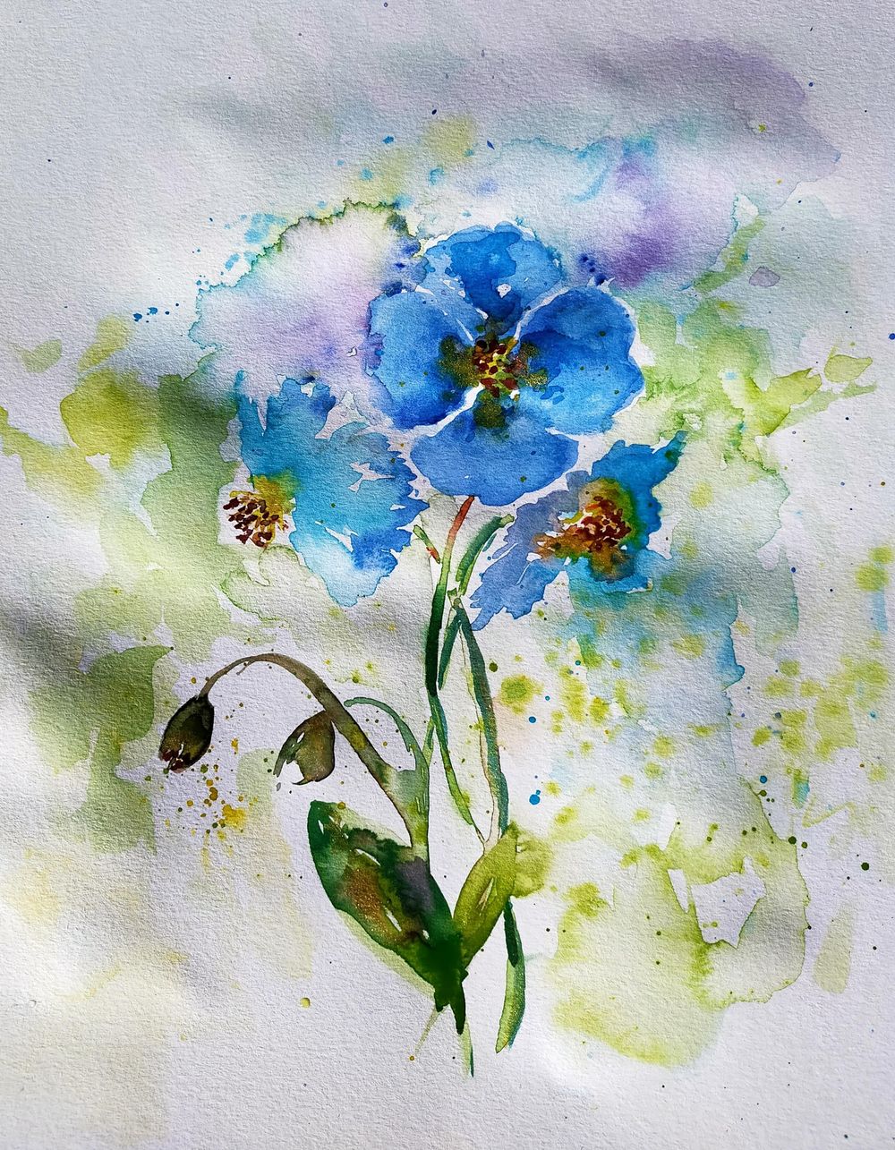 Flowers - image 7 - student project