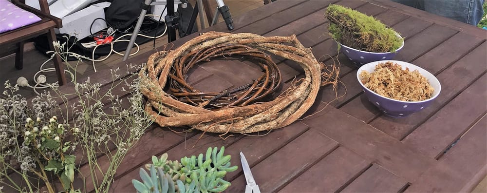 Living Succulent Wreath - image 1 - student project