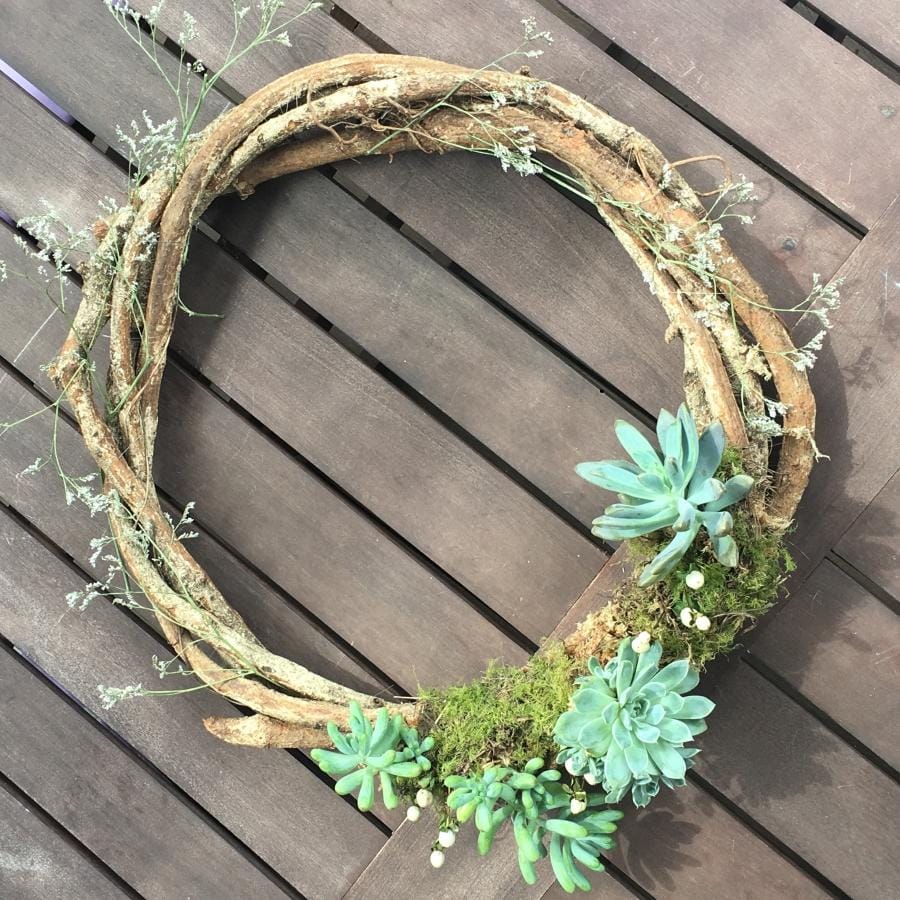 Living Succulent Wreath - image 2 - student project