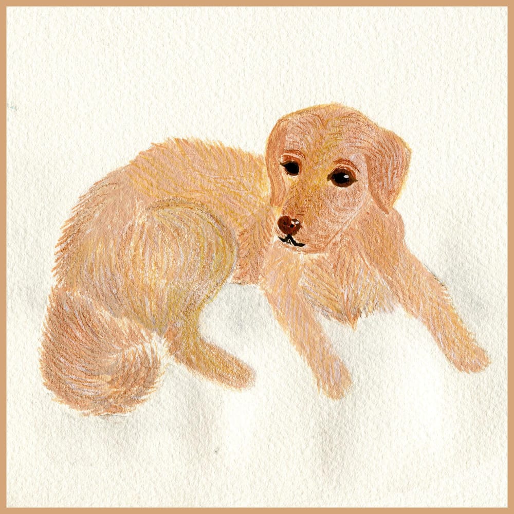 My first dog :) I had sooo much fun :):) - image 1 - student project
