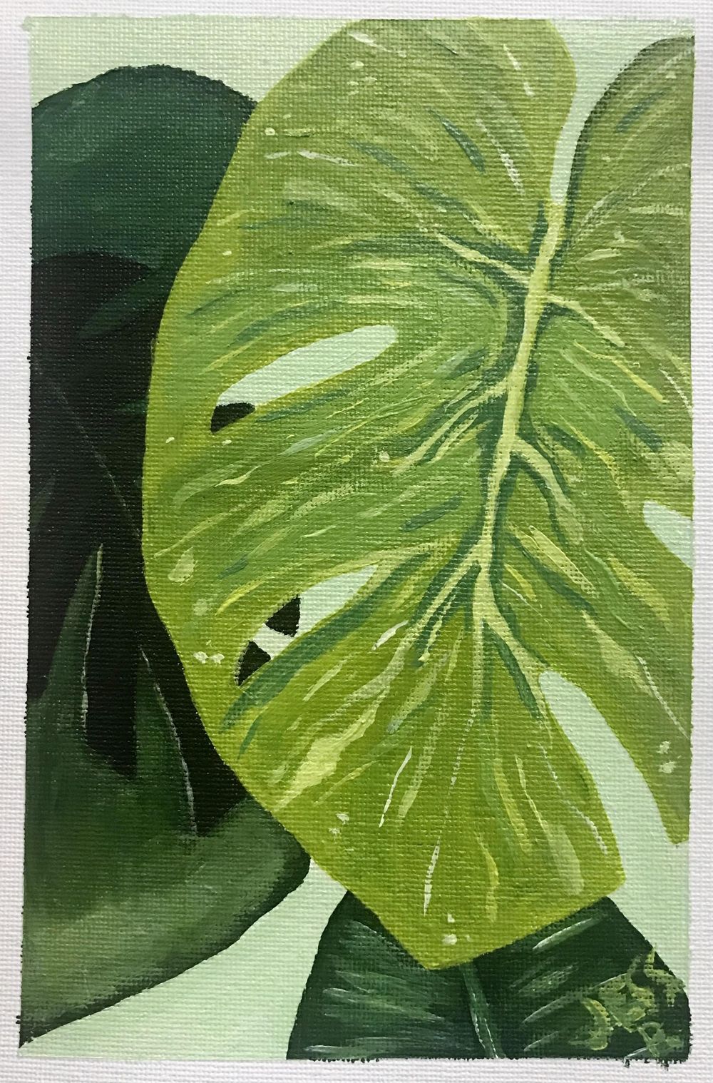 Monstera Leaf - image 1 - student project