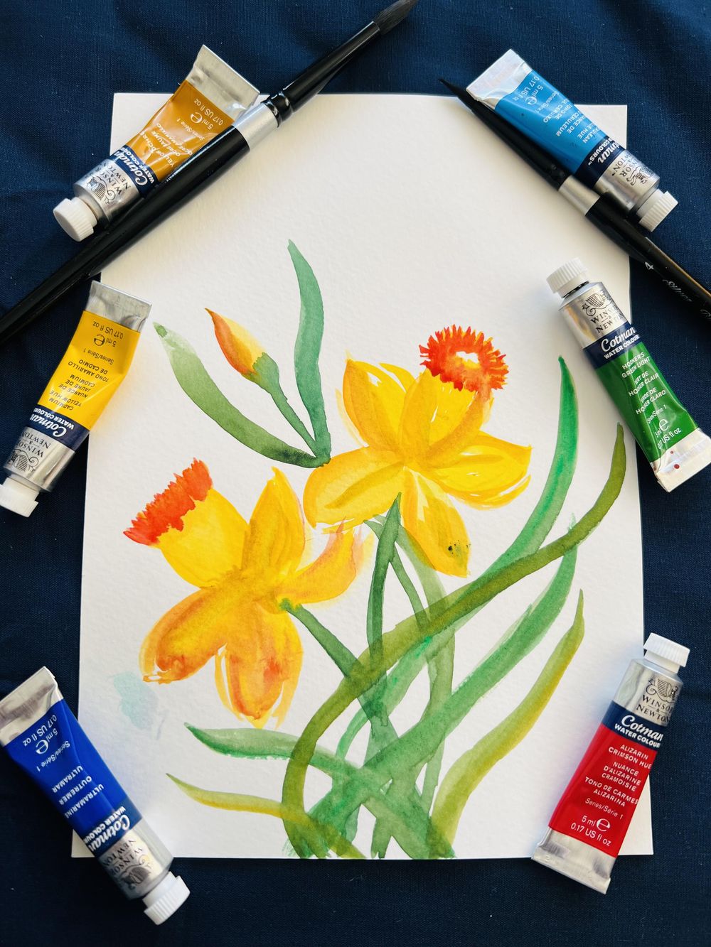 Beautiful Daffodils - image 3 - student project