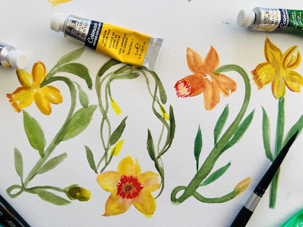 Beautiful Daffodils - image 1 - student project