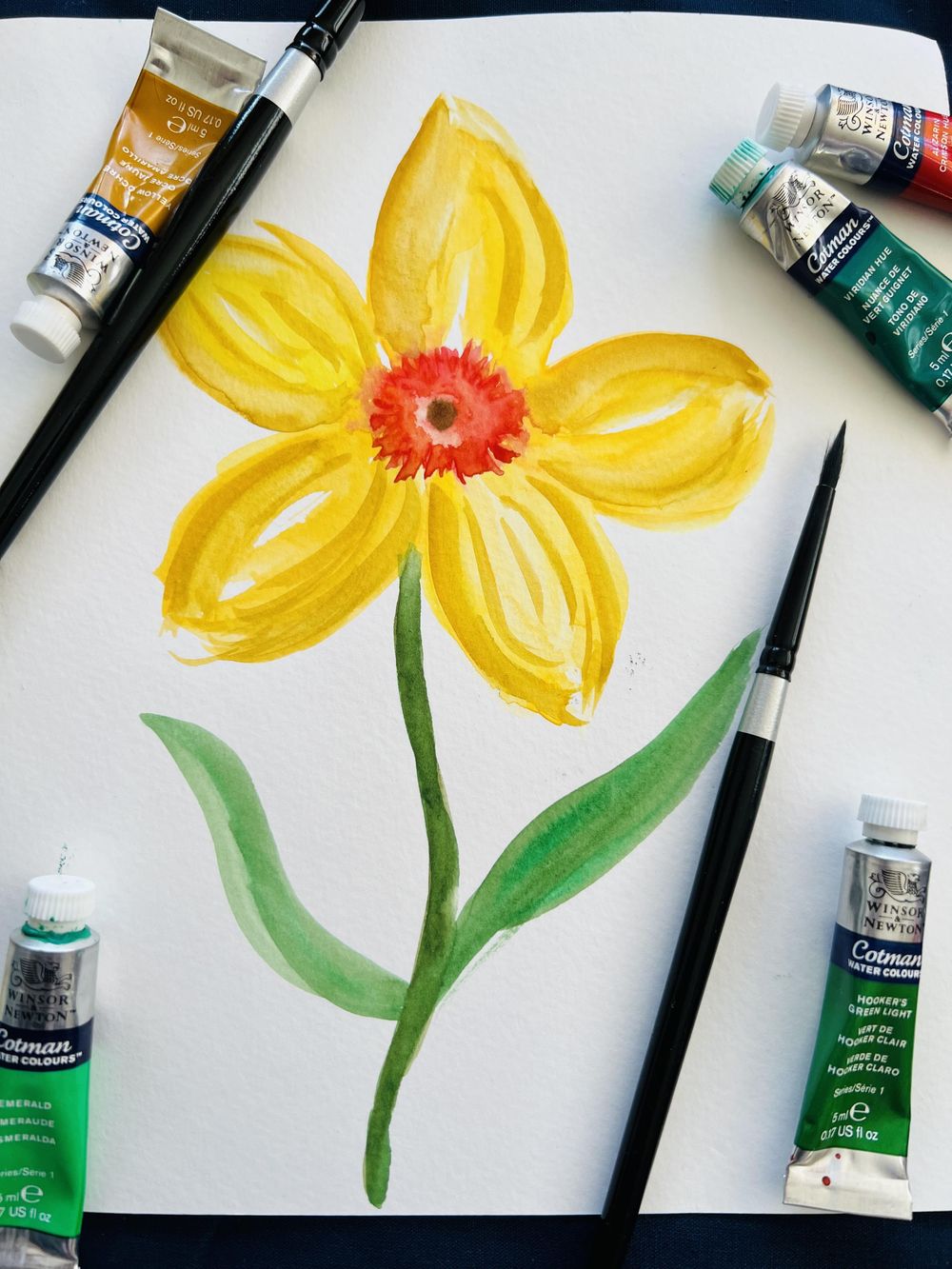 Beautiful Daffodils - image 2 - student project