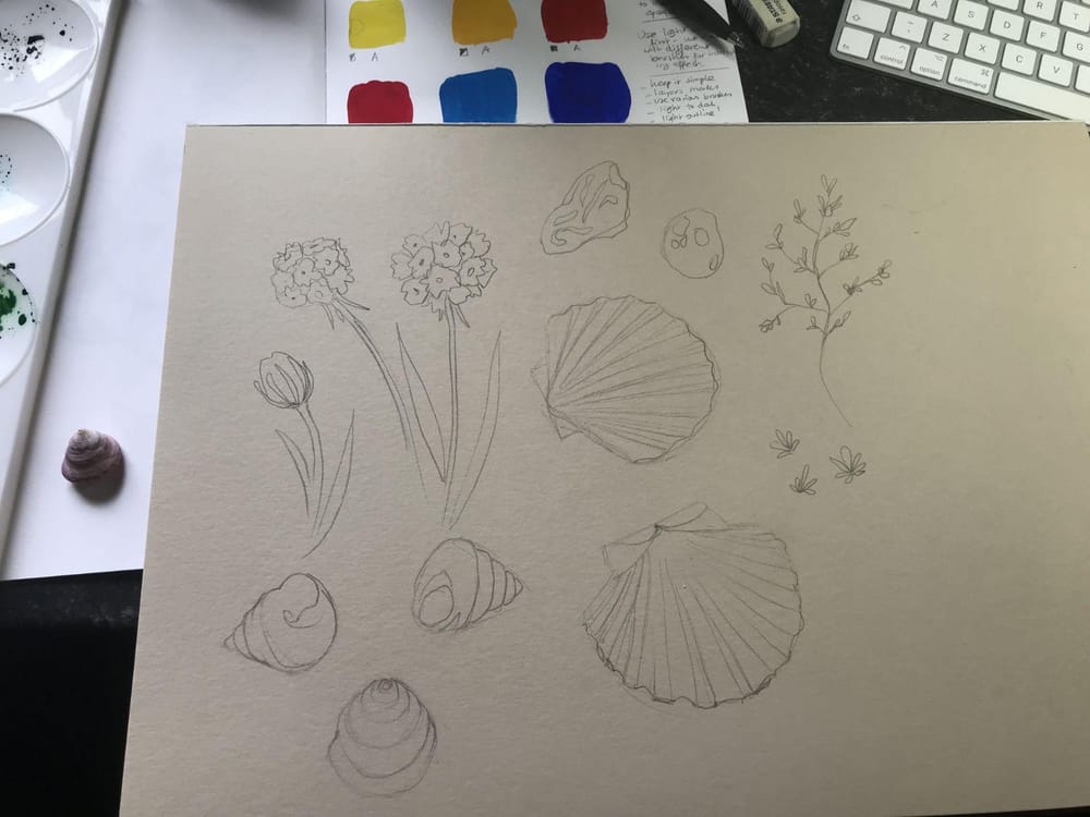 Seaside inspiration - image 2 - student project