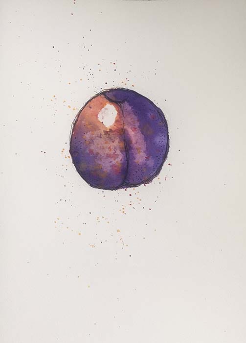 Lemon & More - image 2 - student project