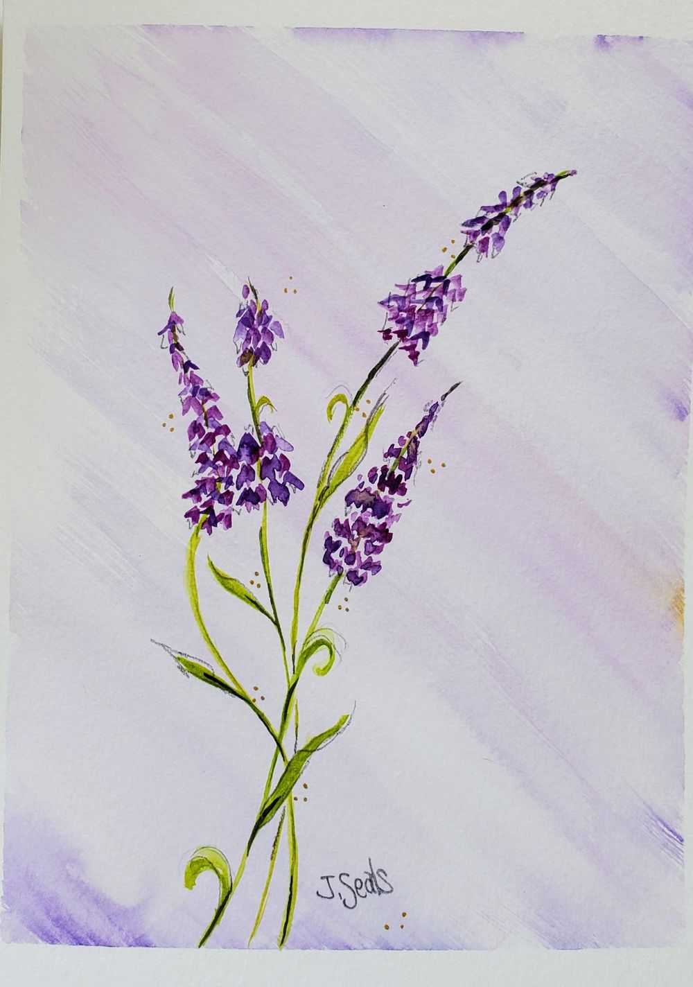 Loose watercolor flowers with graphite - image 2 - student project