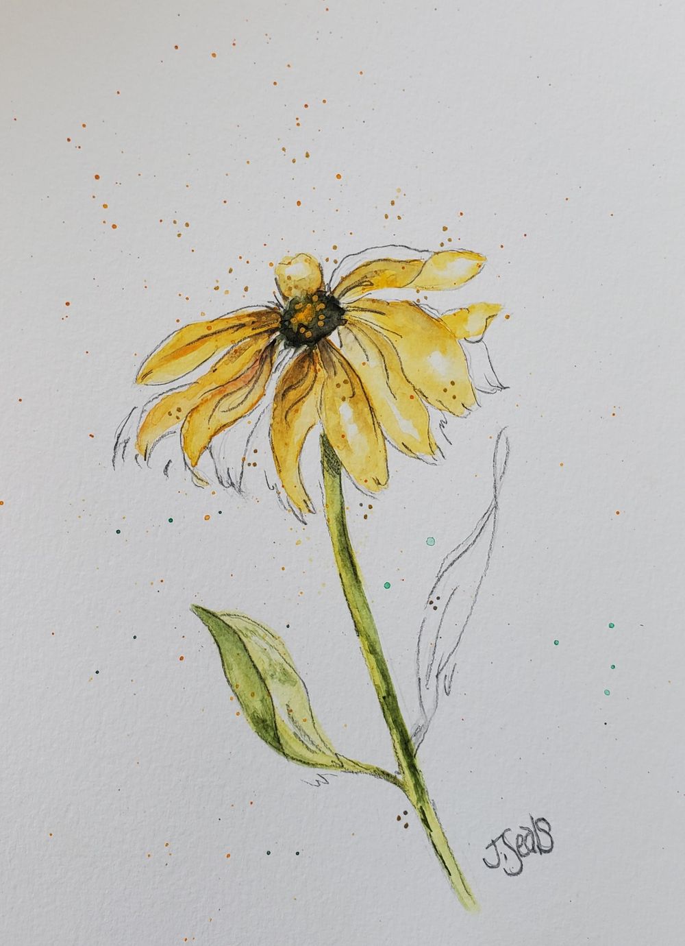 Loose watercolor flowers with graphite - image 3 - student project