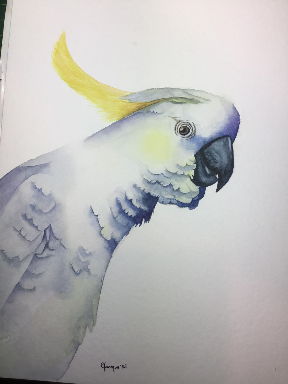 Cheeky bird - image 1 - student project