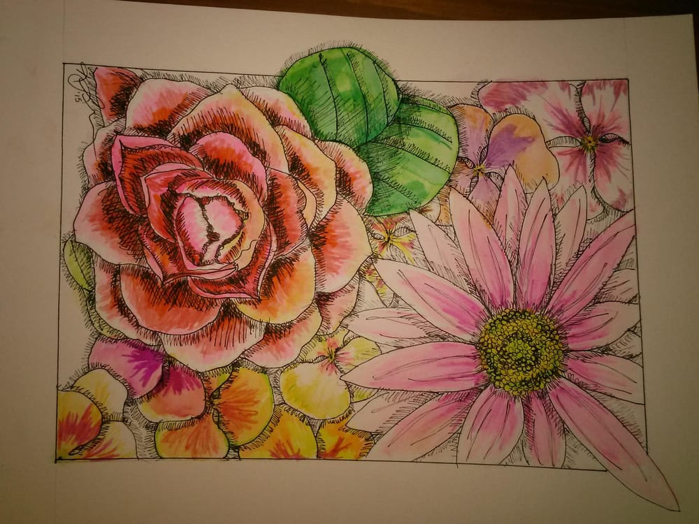 Flowers, Fruit & Cards... Oh my... - image 1 - student project
