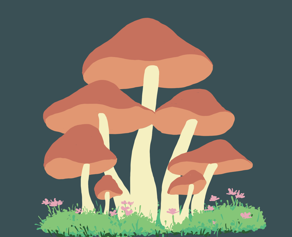 Mushroom family - image 5 - student project