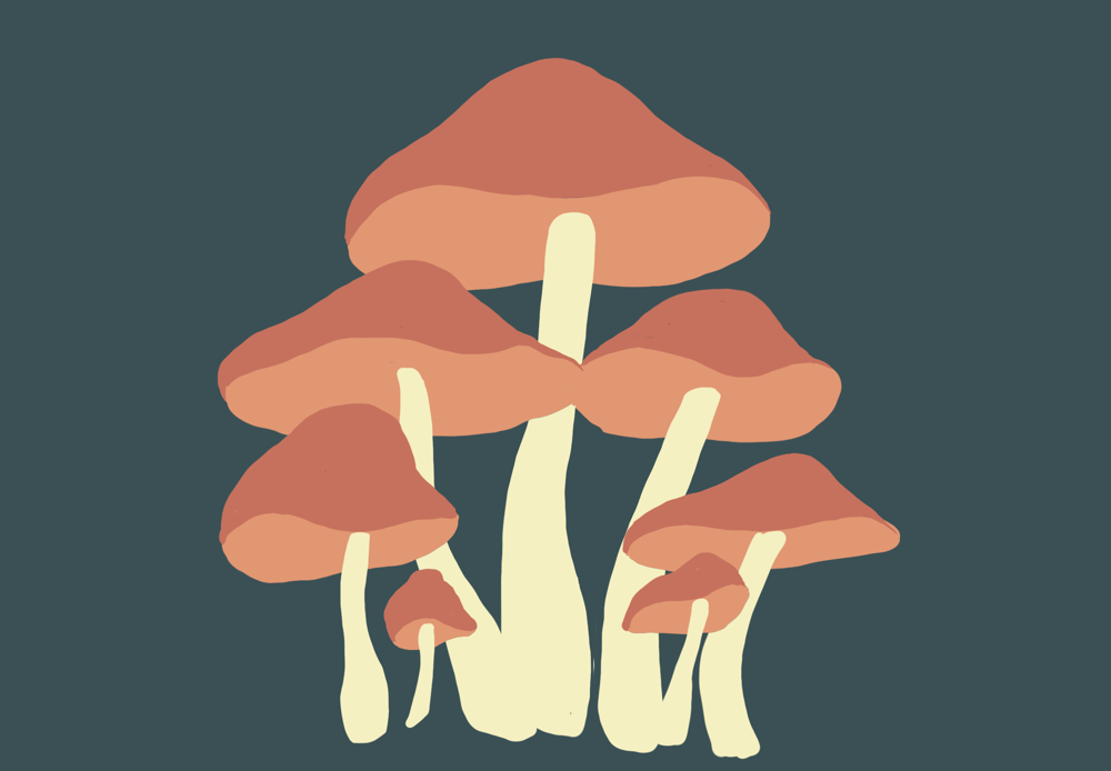 Mushroom family - image 4 - student project