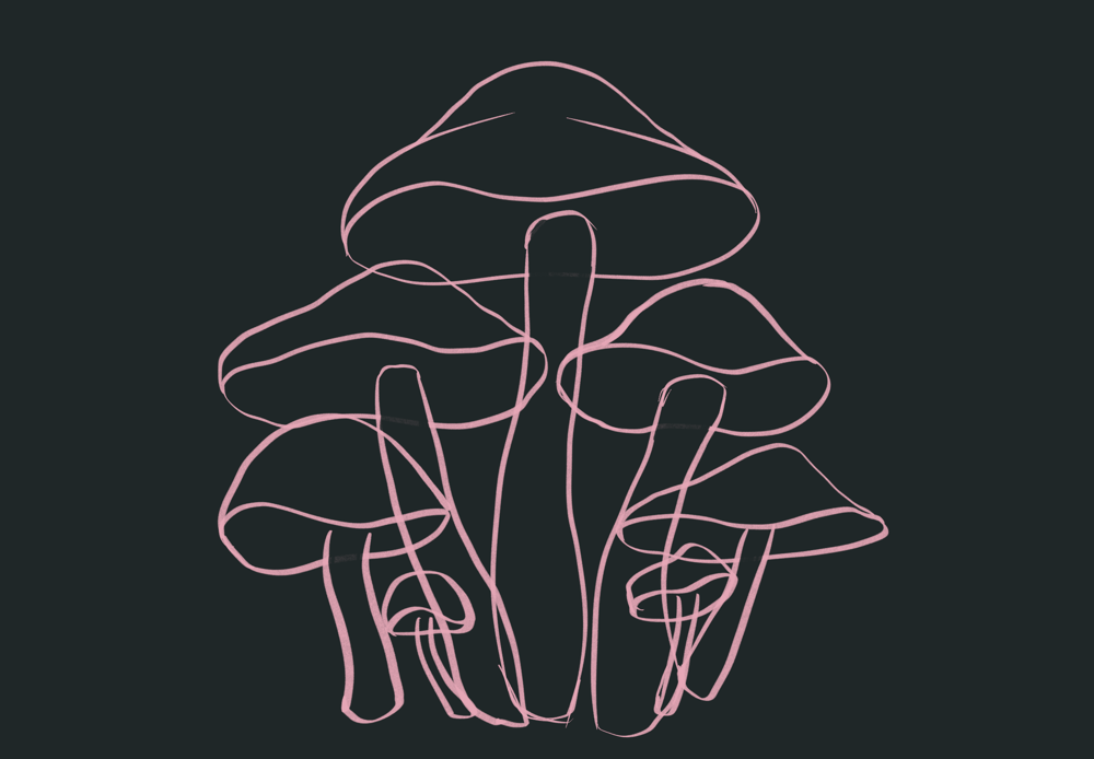 Mushroom family - image 3 - student project
