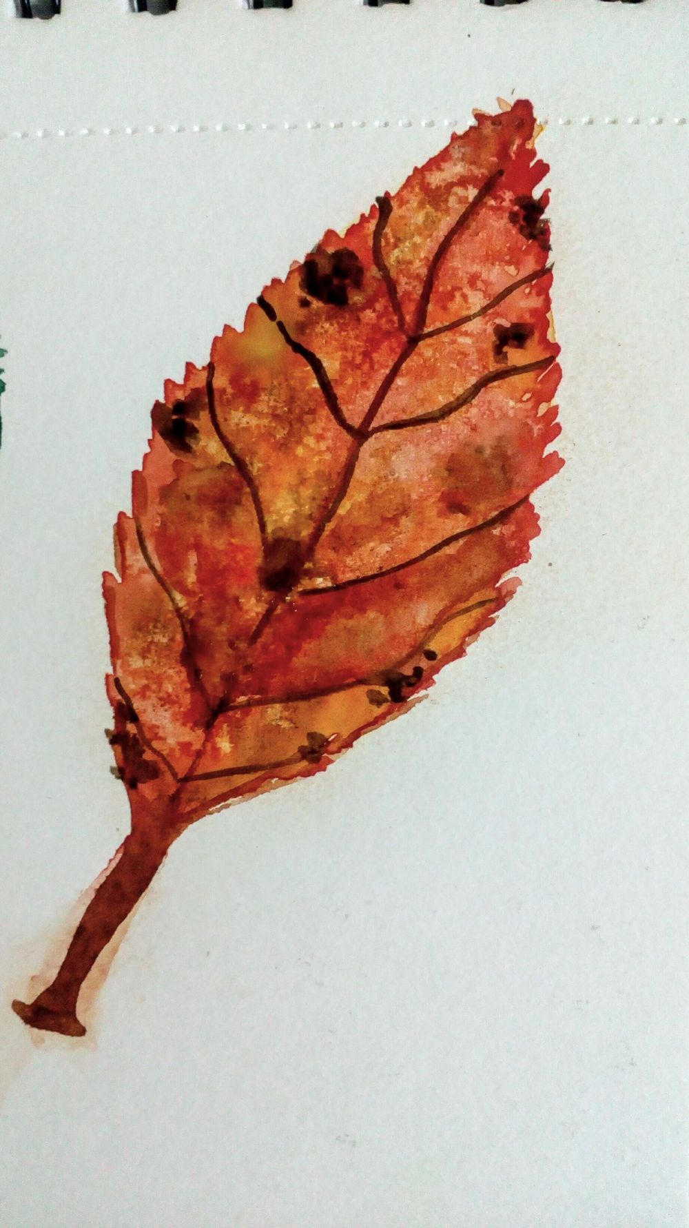 Watercolor Fall Elements - image 3 - student project