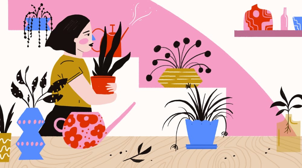 Plant Shop - image 1 - student project