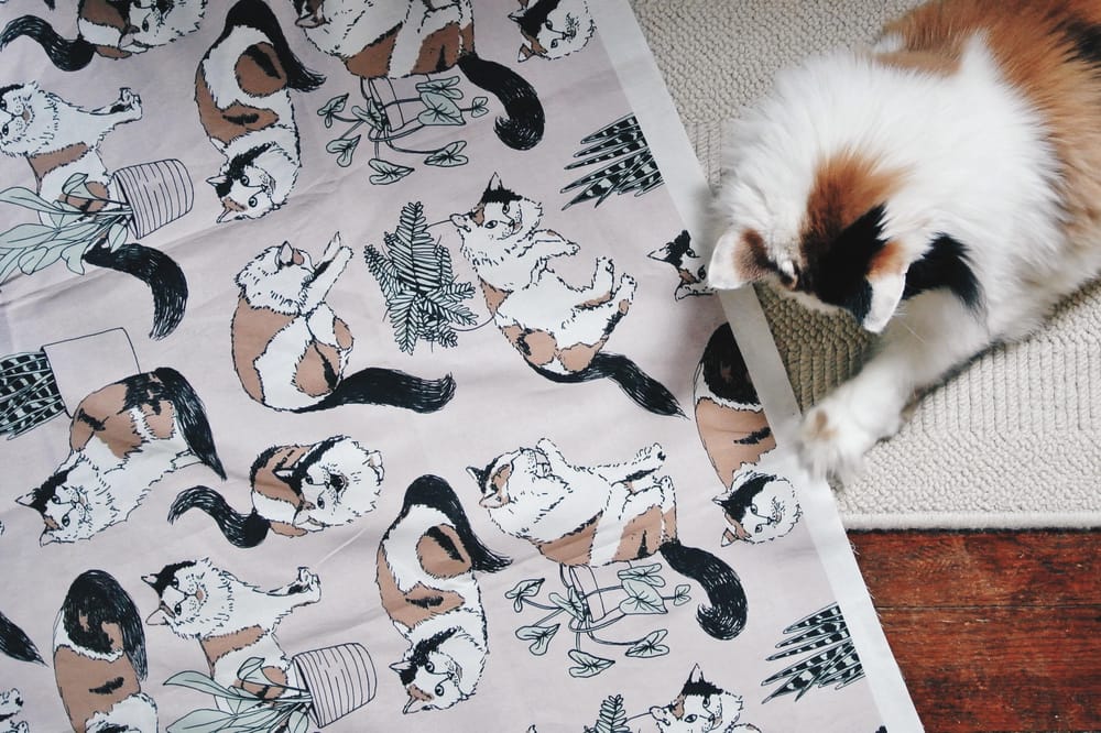 Cat Lady Pattern - image 4 - student project