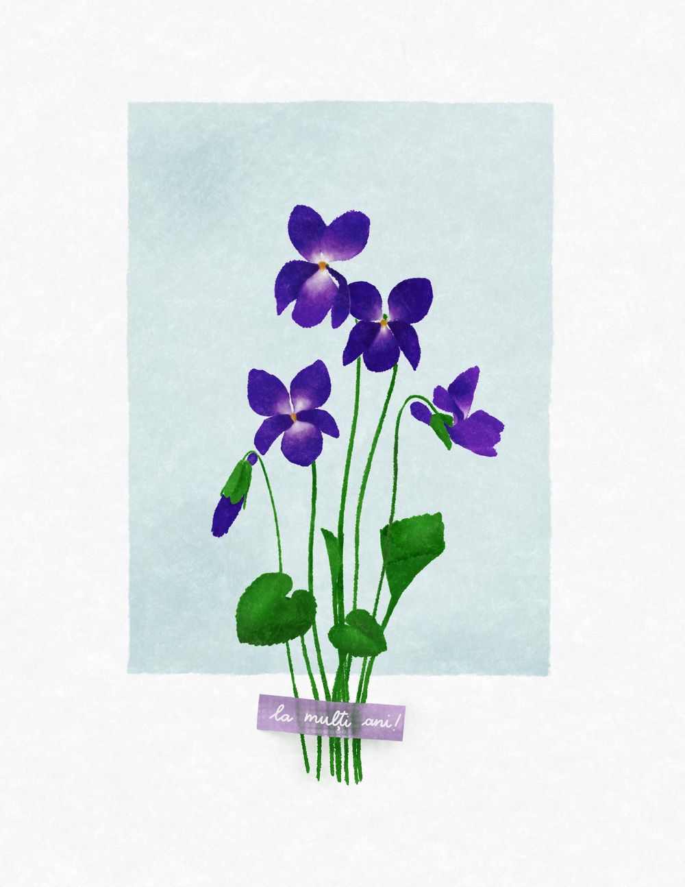 Viorele flowers - image 1 - student project