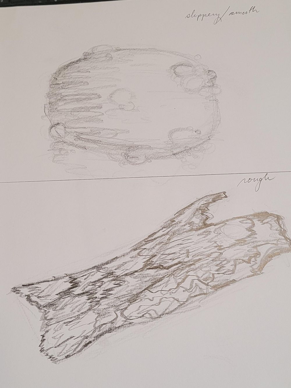 Dynamic Lines - image 2 - student project
