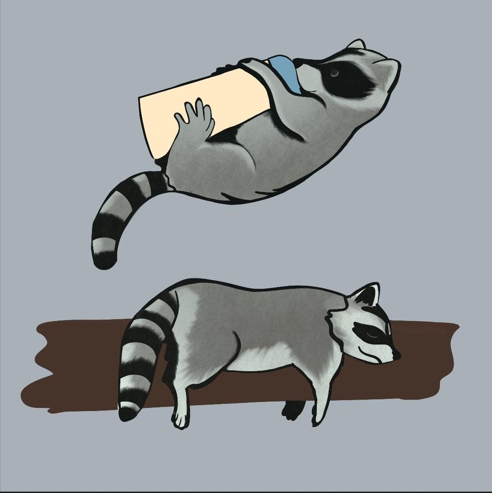 Lazy Raccoons - image 1 - student project