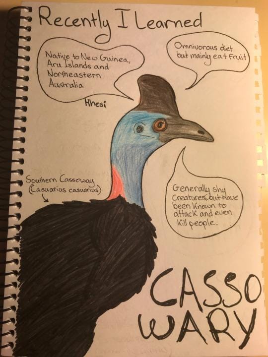 My Journal - image 2 - student project