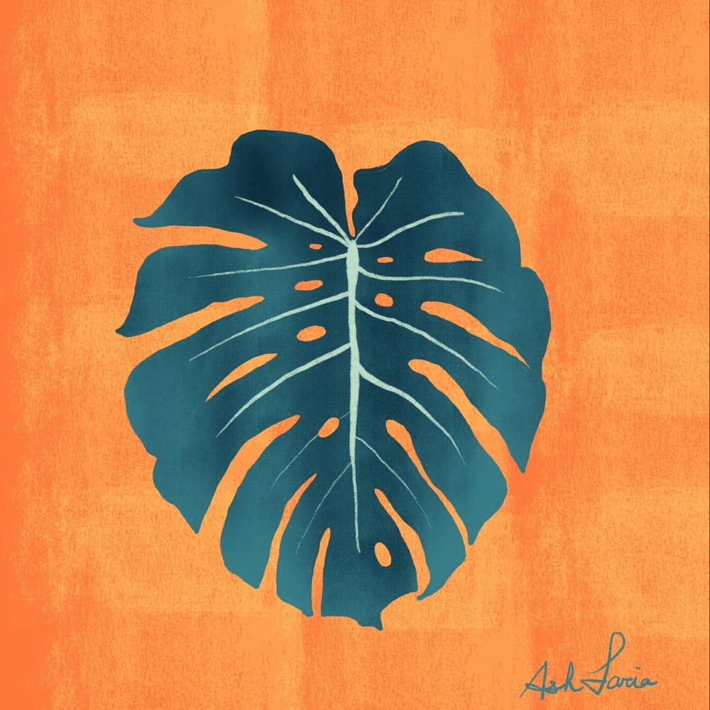procreate beginners procreate beginners