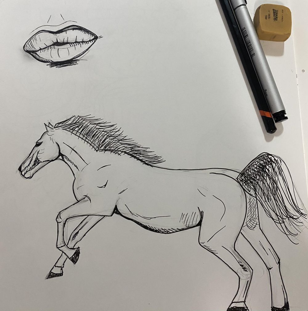 Exercises and Assignment :) - image 4 - student project