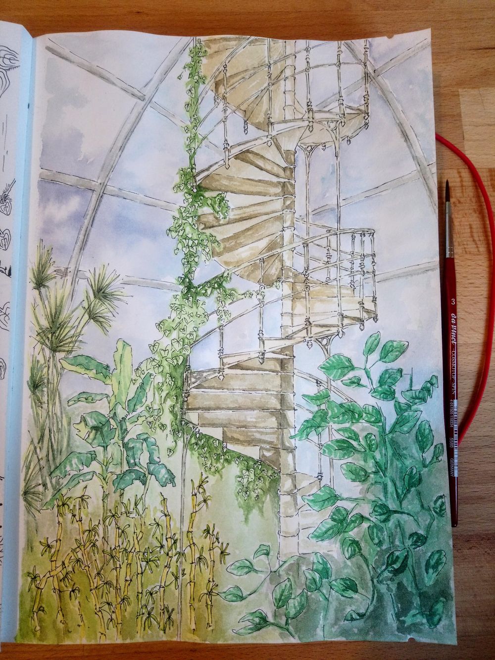 Explores, plants, and leaves - image 2 - student project