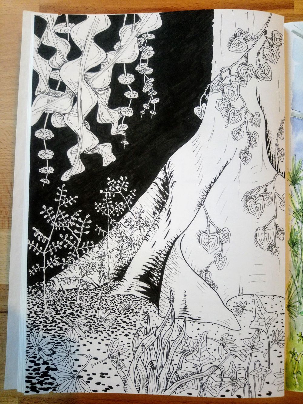 Explores, plants, and leaves - image 1 - student project