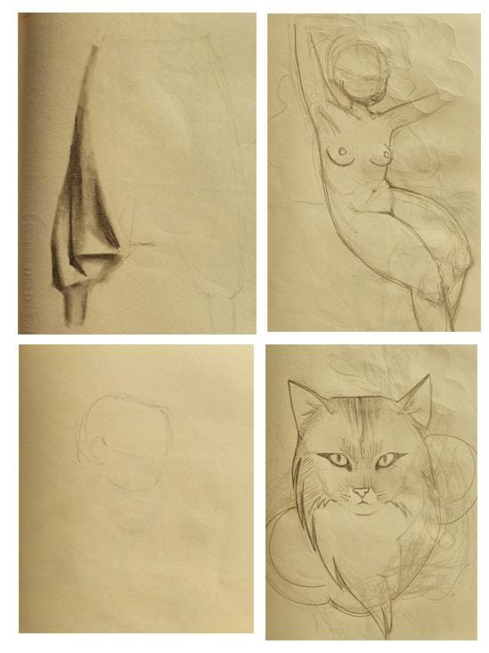 fedecattadraws before and after - image 1 - student project