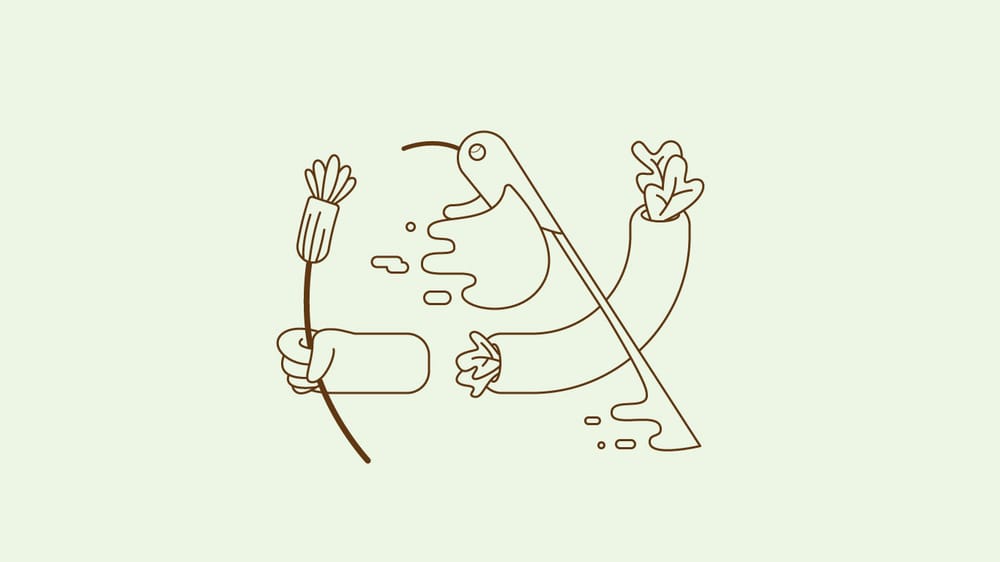 Sunbird breakfast - image 3 - student project