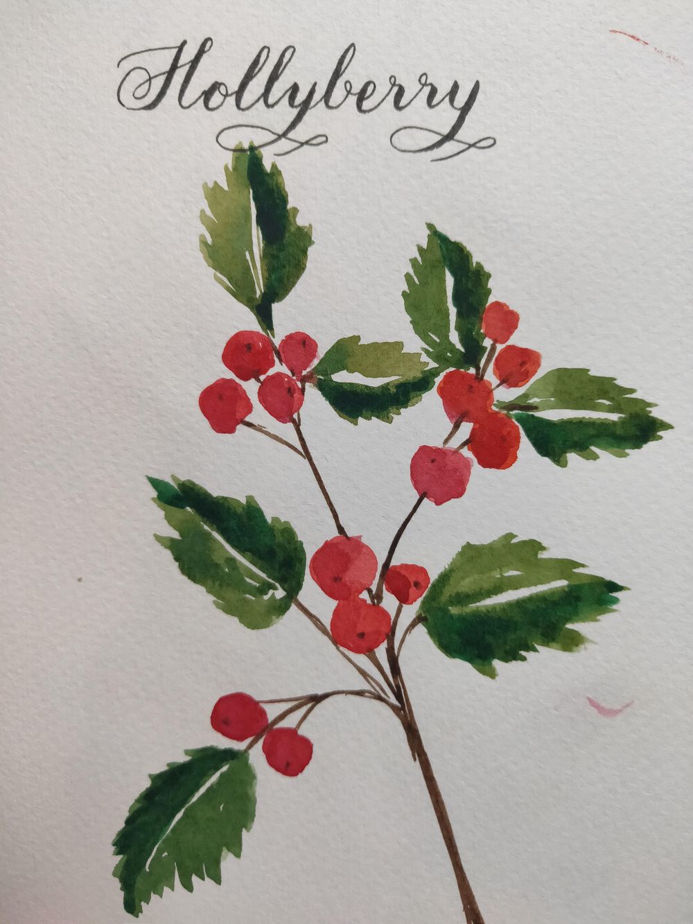 Loose Winter/Christmas Florals - image 3 - student project