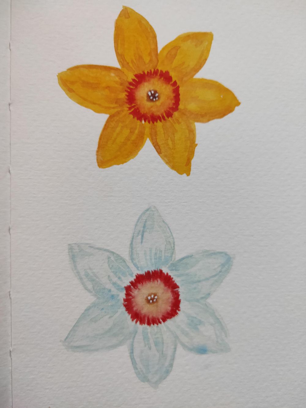 Watercolour Daffodils! - image 3 - student project