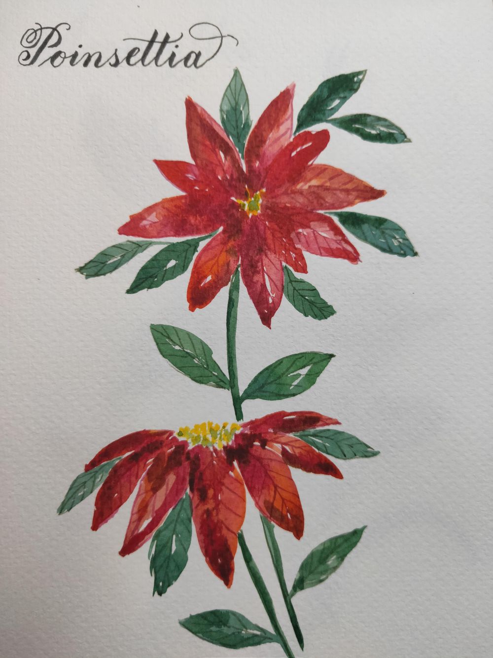 Loose Winter/Christmas Florals - image 2 - student project
