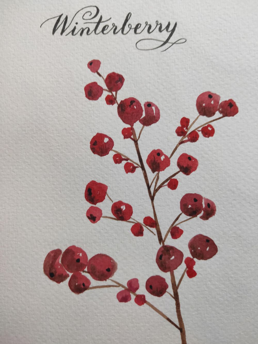 Loose Winter/Christmas Florals - image 5 - student project