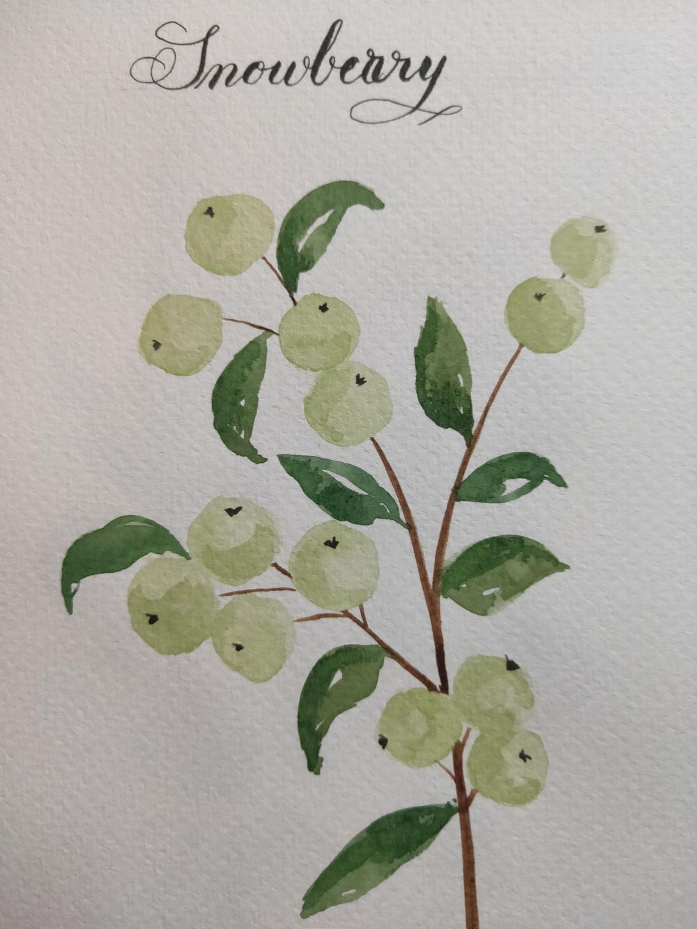 Loose Winter/Christmas Florals - image 6 - student project