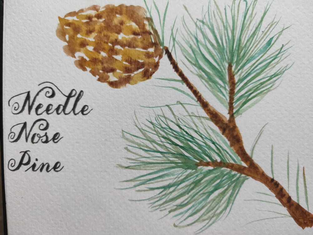Loose Winter/Christmas Florals - image 9 - student project