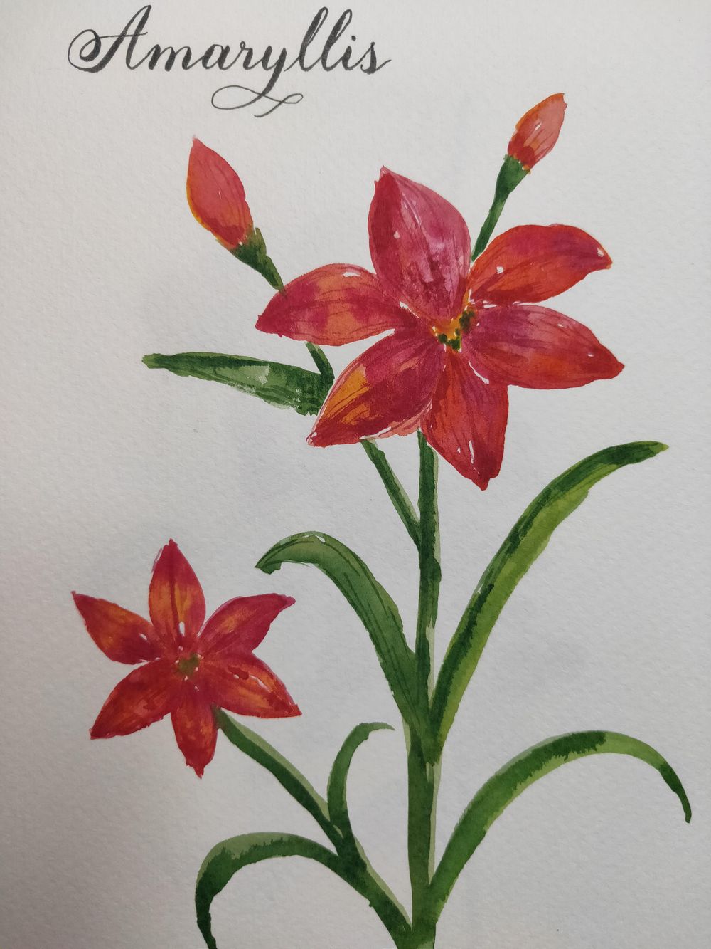 Loose Winter/Christmas Florals - image 4 - student project