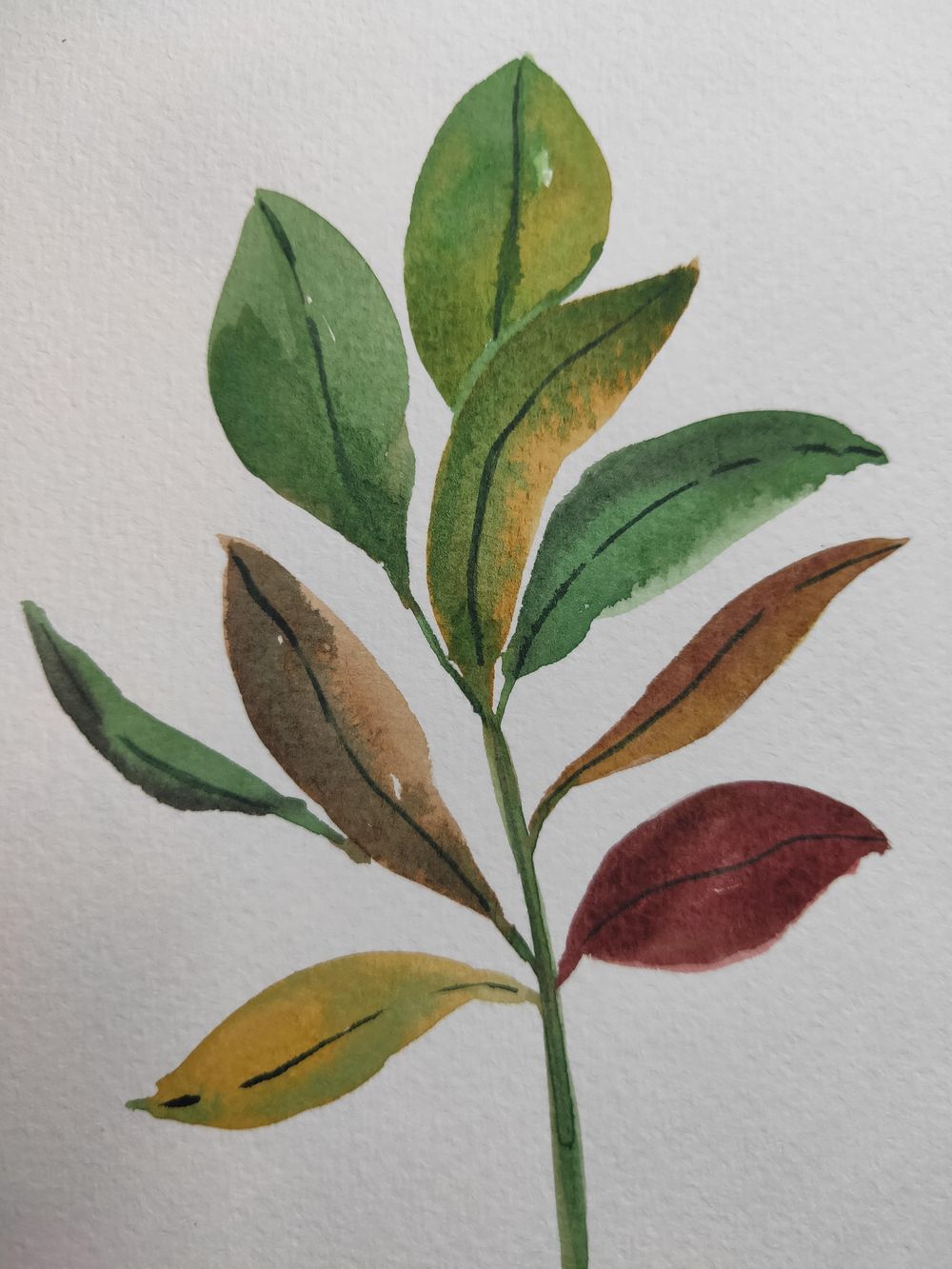 Loose Winter/Christmas Florals - image 8 - student project